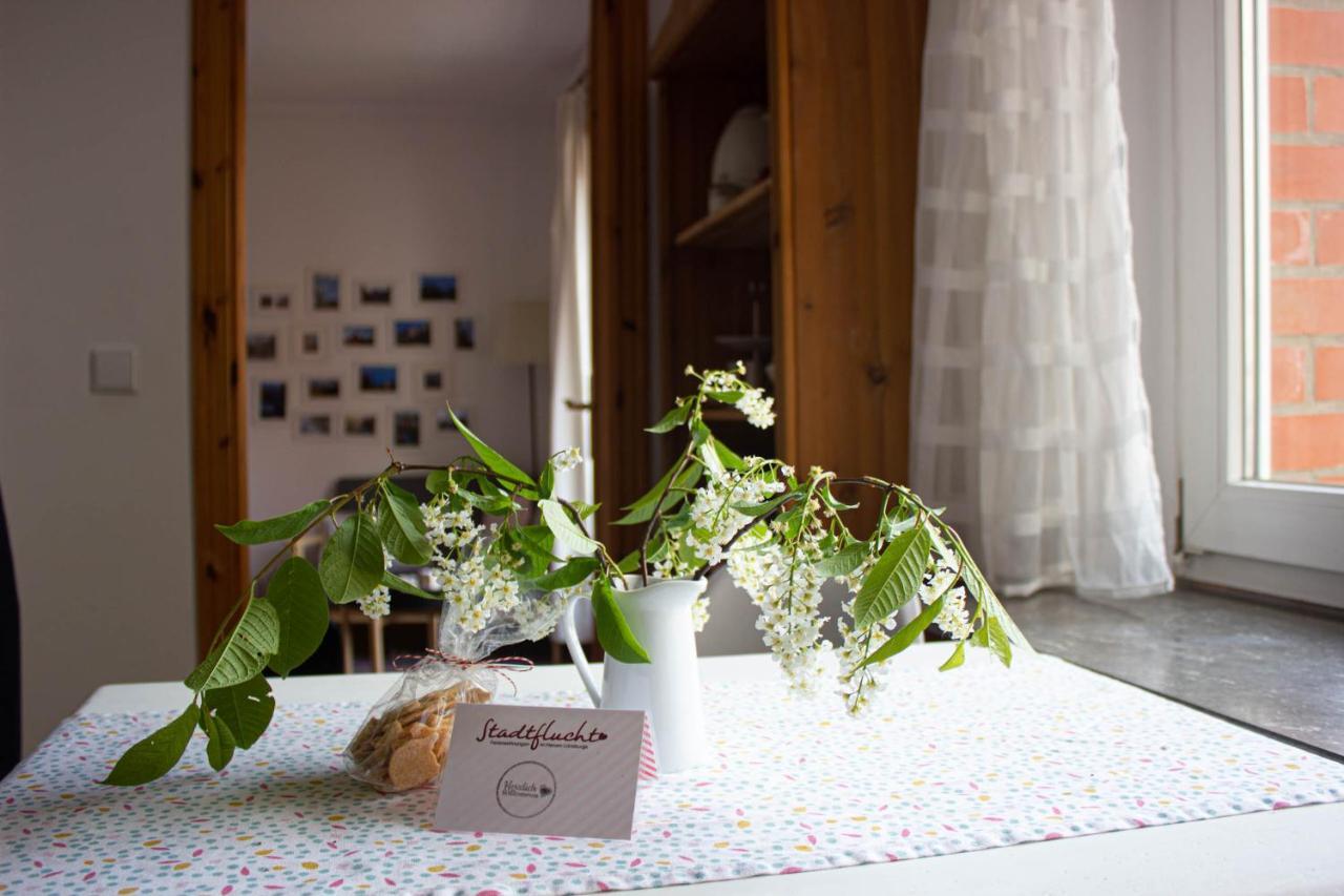 Apartment Stadtflucht Lueneburg: Innenstadt